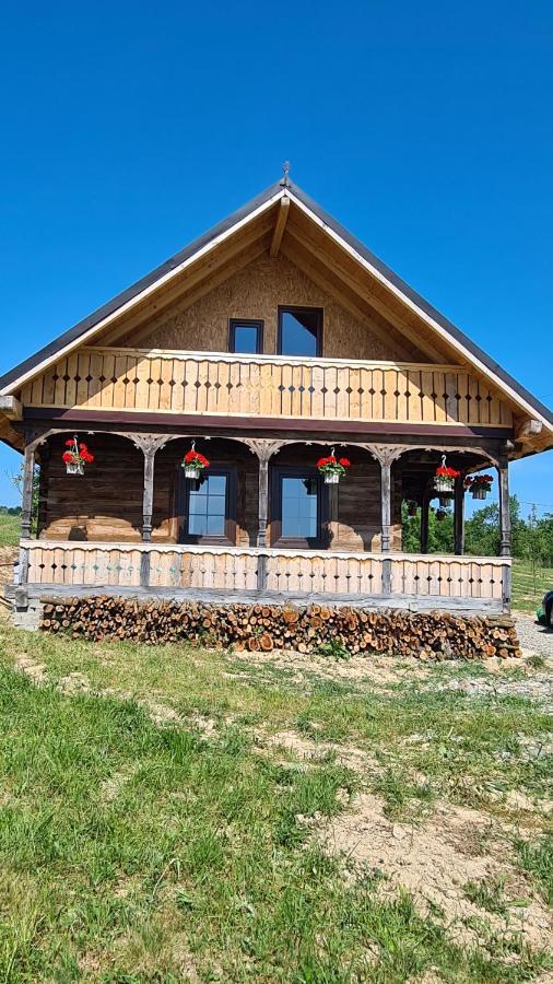 Casa Bunicilor Din Oncesti Βίλα Εξωτερικό φωτογραφία