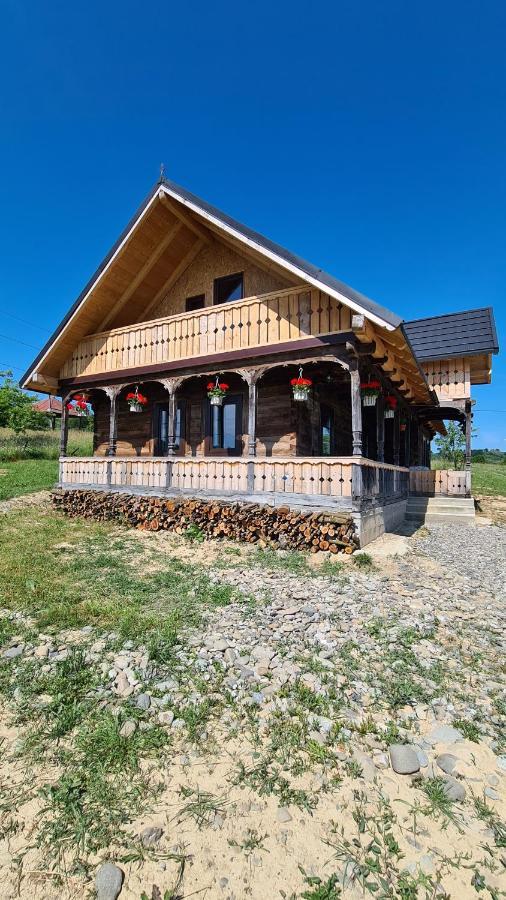 Casa Bunicilor Din Oncesti Βίλα Εξωτερικό φωτογραφία