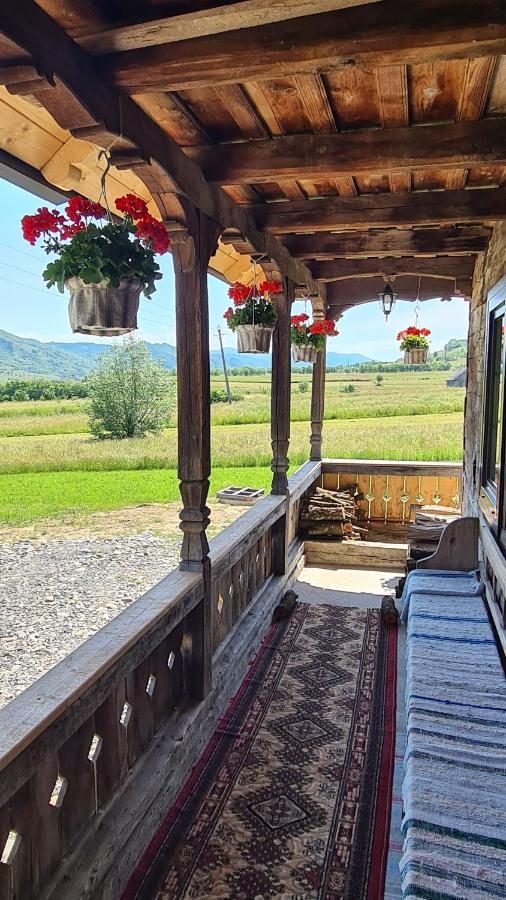 Casa Bunicilor Din Oncesti Βίλα Εξωτερικό φωτογραφία